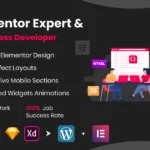 elementor-expert-wordpress-developer-vijay-lathiya